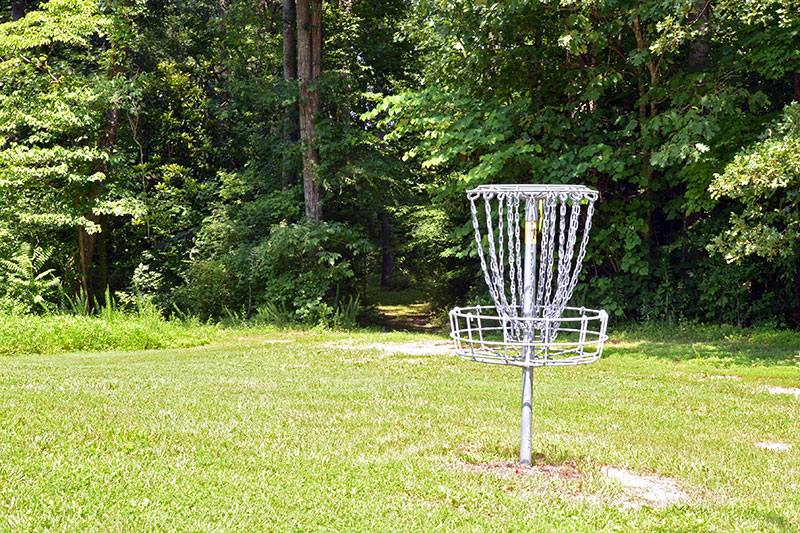 picture discgolf goal